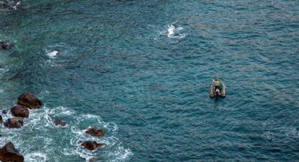 Ejército de Nicaragua asegura que la lancha interceptada con 450 kilos de cocaína en El Salvador no salió de su territorio