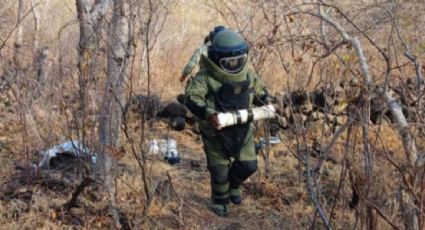Descubren 12 artefactos explosivos en campo minado de Tierra Caliente, Michoacán