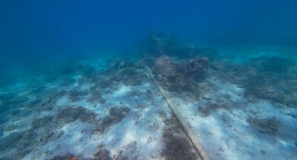 Finlandia investiga un buque por la posible rotura de un cable submarino de telecomunicaciones