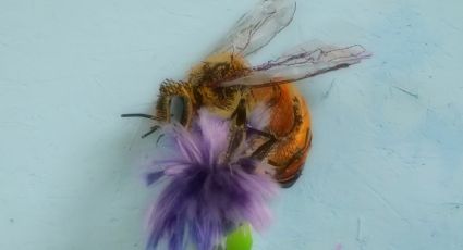 Abre la feria Pinta Miami que destaca el arte sostenible de América Latina