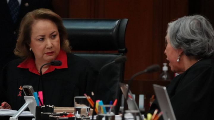 Corte rechaza proyecto de Yasmín Esquivel que proponía obstaculizar amparos de asociaciones en defensa del medio ambiente