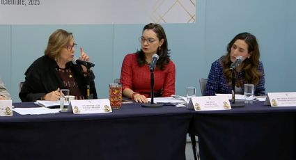 Avanza en el Senado la reforma para actualizar el tipo penal de abuso sexual