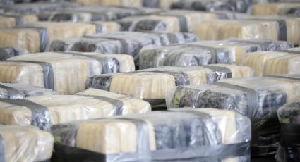 Policía de Ecuador decomisa media tonelada de cocaína en Guayaquil