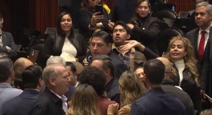 Personal de resguardo es acusado de intervención y favoritismo en el pleno de la Cámara de Diputados