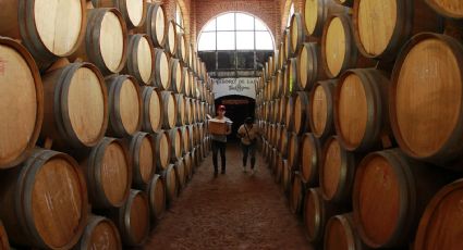 Aranceles de Trump asustan a tequileros mexicanos por poner en riesgo su actividad