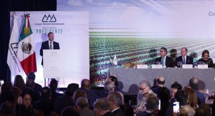 México está inquieto por las amenazas de Estados Unidos: Jorge Esteve, nuevo presidente del CNA