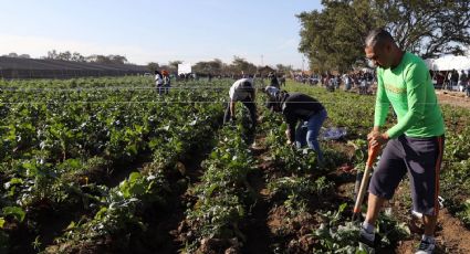 Aranceles de Trump afectarán exportaciones de México a Estados Unidos por 475 mil millones de dólares : CNA