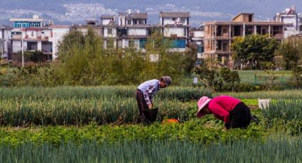China, el mayor generador de gases de efecto invernadero del mundo, anuncia meta climática con menos emisiones
