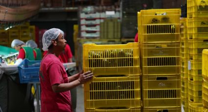 CCE afirma que hay 60 mil vacantes laborales disponibles en México para deportados de EU