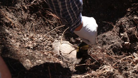 Guerreros Buscadores de Jalisco se divide, surge nuevo grupo "Desaparecidos sin Justicia"