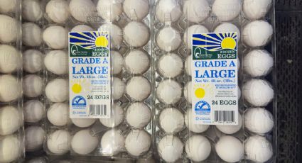 Piedras y papas se convierten en la alternativa para Pascua en EU ante el alto costo del huevo