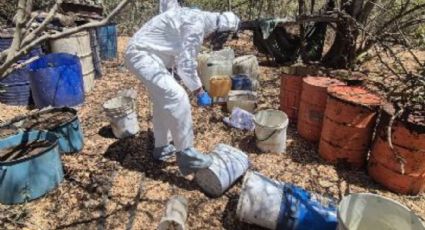 Aseguran 19 laboratorios clandestinos usados para fabricar drogas en tres municipios de Sinaloa
