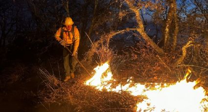 Muere combatiente en incendio forestal en Guerrero; Conafor y Semarnat envían condolencias