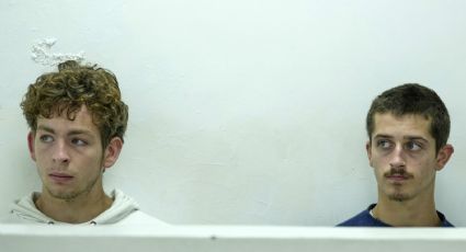 Detienen a dos adolescentes belgas en Kenia por tráfico de hormigas exóticas; tenían 5 mil en tubos de ensayo