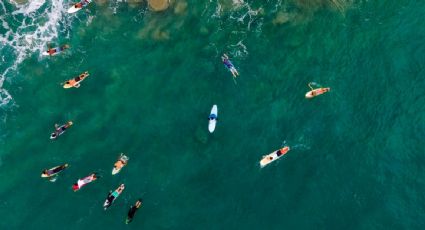Olas de calor marinas se han triplicado desde 1940 debido a actividades humanas