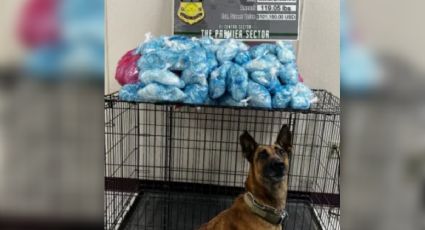 Equipo canino detecta a mexicana que intentaba cruzar 120 paquetes de metanfetamina en California