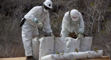 Detienen a mexicano junto a otras 23 personas en Ecuador con casi 3 mil kilogramos de cocaína