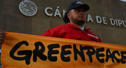 Greenpeace gana amparo contra la extinción del Fondo para el Cambio Climático