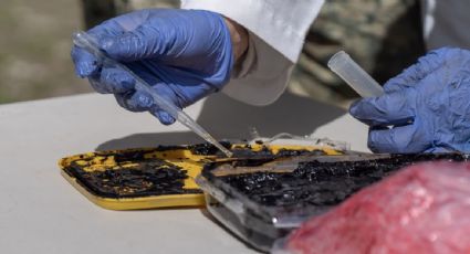 Operativo Frontera Norte: aseguran 163 kilos de fentanilo y detienen a más de 2 mil personas