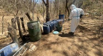 Desmantelan seis laboratorios usados para la fabricación de droga en Sinaloa