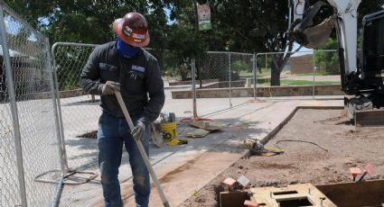 Autoridades migratorias emprenden redadas en panaderías, constructoras y empresas que contratan extranjeros sin documentos