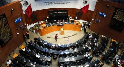 Comisiones del Senado aprueban desaparición de Compranet; oposición cuestiona quién controla la nueva plataforma