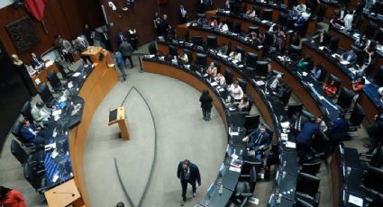 Gana entre senadores oficialistas postura de modificar o eliminar artículo 109 sobre bloqueo a plataformas digitales y redes sociales