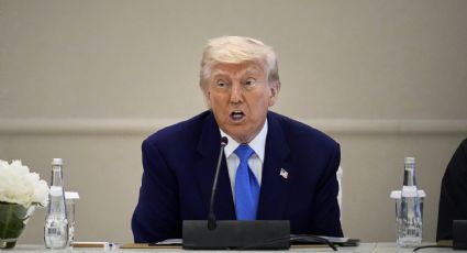 Organizaciones demandan al gobierno de Trump por poner en riesgo a fauna del Golfo de México con proyectos petroleros