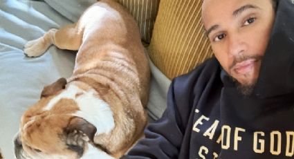 Lewis Hamilton revela ser víctima de ansiedad por la delicada salud de su perro, un bulldog inglés de 12 años y medio: “Es viejo, con espíritu juvenil”