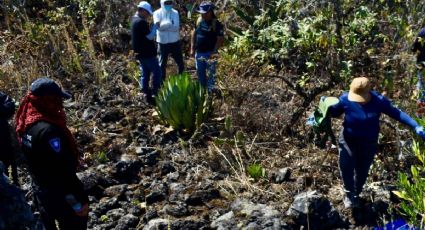 Desaparecen 42 personas al día en México, alerta Causa en Común