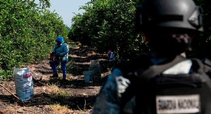 Jornalero fallece tras pisar una mina terrestre en Apatzingán; van siete víctimas en el año