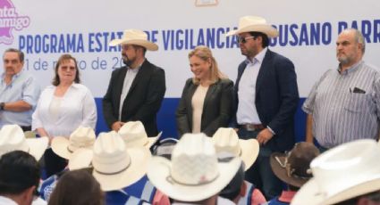 Chihuahua emprende programa de vigilancia para evitar la llegada del gusano barrenador