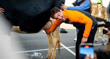 El mexicano ‘Pato’ O'Ward ordeña una vaca para tener buena suerte y ganar las 500 Millas de Indianápolis: “Fue una experiencia genial”