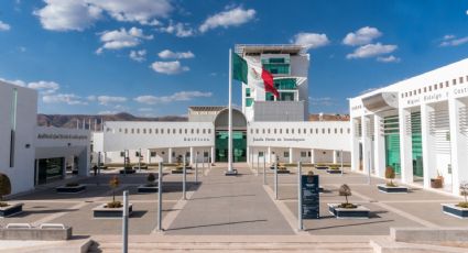 Abren investigación en Guanajuato por maltrato contra gatos en un rodeo en la localidad de Xichú