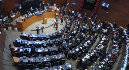 Expertos piden en el Senado no vulnerar los derechos de usuarios al regular las plataformas digitales