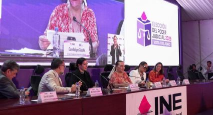 INE reporta que 182 candidatos a alcaldes y cinco aspirantes a juzgadores solicitaron protección