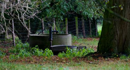 Hallan el cuerpo de un hombre al interior de un pozo en Mérida