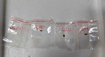 Científica china es arrestada en EU por presunto tráfico de material biológico