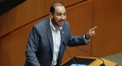 PAN pide a Sheinbaum que llame a mexicanos en Estados Unidos a respetar la ley