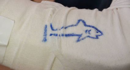 Tiburón ataca a una niña de nueve años que buceaba en una playa de Florida