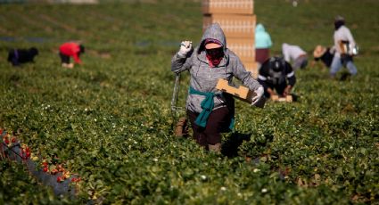 Trump promete nuevo decreto migratorio para proteger a trabajadores agrícolas y hoteleros