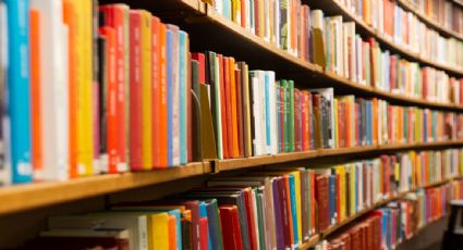 Inteligencia artificial abre las bibliotecas de EU: empresas recurren a libros para enseñarle sobre la humanidad