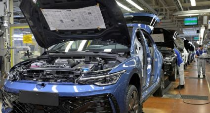 Profeco pide revisión de más de 25 mil vehículos Volkswagen por desperfecto en cinturón