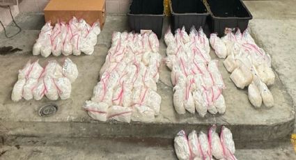 “Un revés para el CJNG”: FBI y DEA decomisan 130 kilos de metanfetamina en Texas