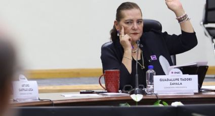 “No nos avergonzamos”, asegura Taddei por avalar elección judicial, pese a cúmulo de irregularidades