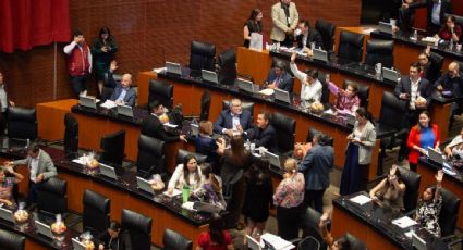 Van por 16 asuntos en el periodo extraordinario del Congreso que comenzará la próxima semana