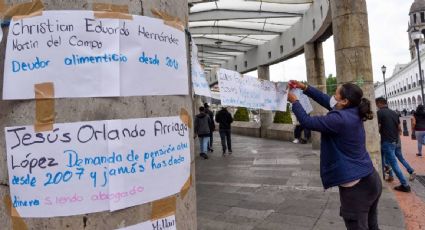 Padrón de deudores alimentarios permite consultar de forma sencilla a quiénes incluye