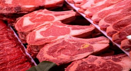 Van 20 niños intoxicados por E.coli en Francia; atribuyen brote a carne contaminada