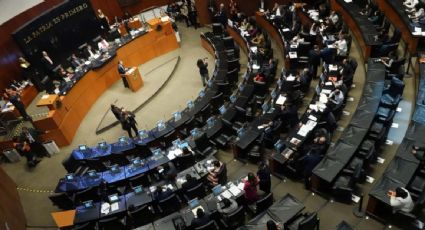 Senado aprueba Llave MX para hacer trámites burocráticos en todo el país; oposición alerta sobre uso de datos biométricos