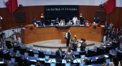 Bajan dictamen, cancelan comisiones y hay consultas de último minuto durante el periodo extraordinario en el Senado